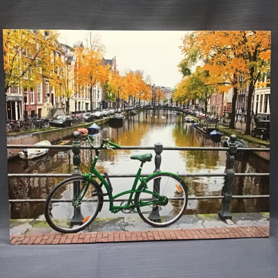 Canvas Art Green Bicycle