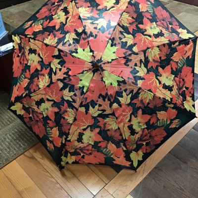 Umbrella Autumn Leaves Print