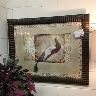 Ren-Wil Framed Print – Peacock