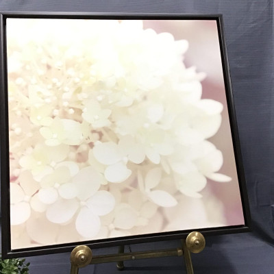 Framed Canvas Art  Off-White Flower Petals