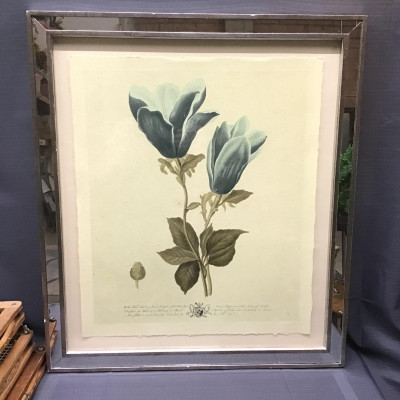 Art Print Teal Botanical
