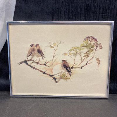 Framed Watercolour Painting – Birds