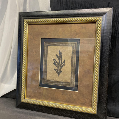 Framed Print – Leaf Collection 1