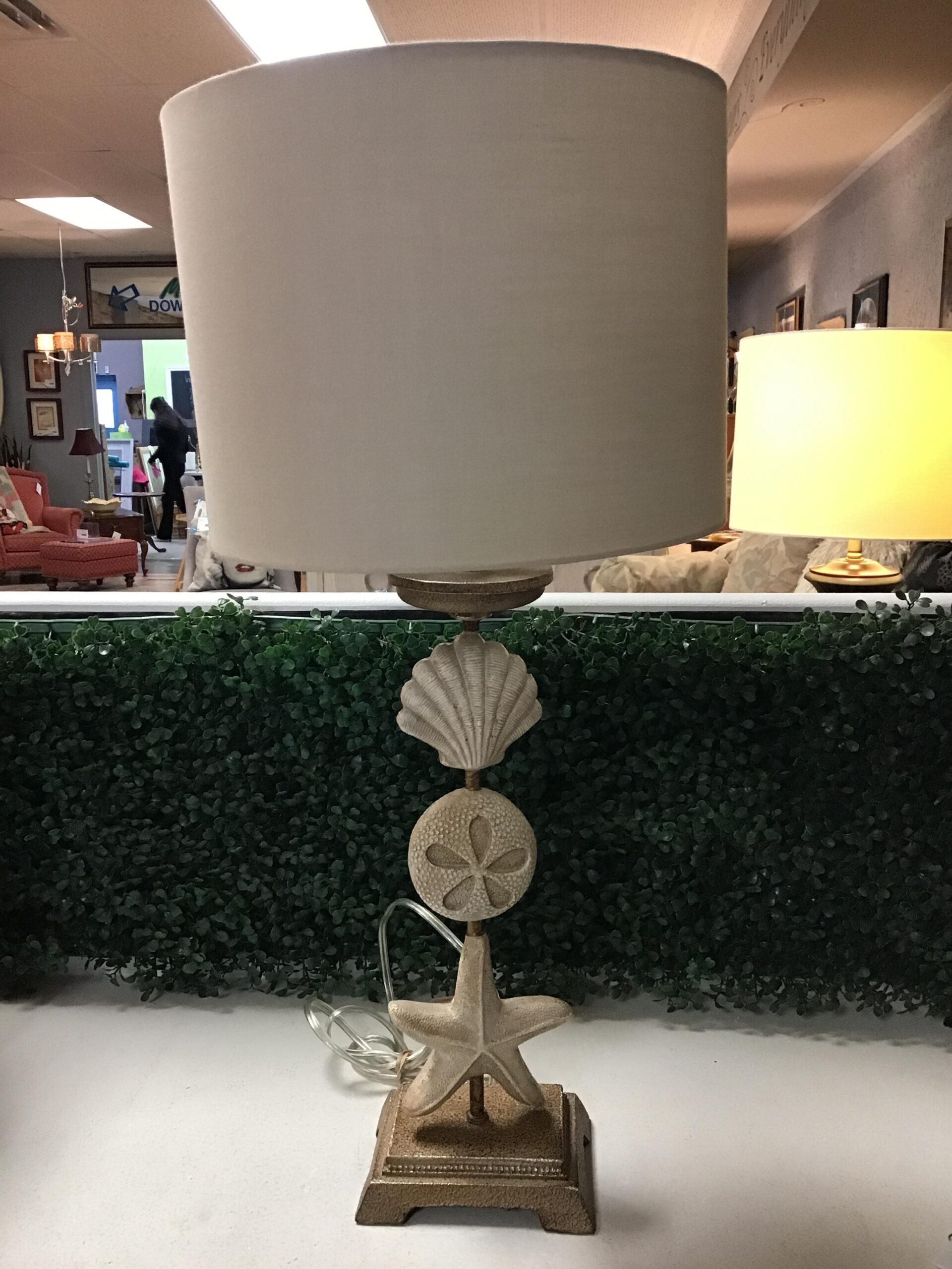 Unique Seashell Table Lamp- 25.5″h