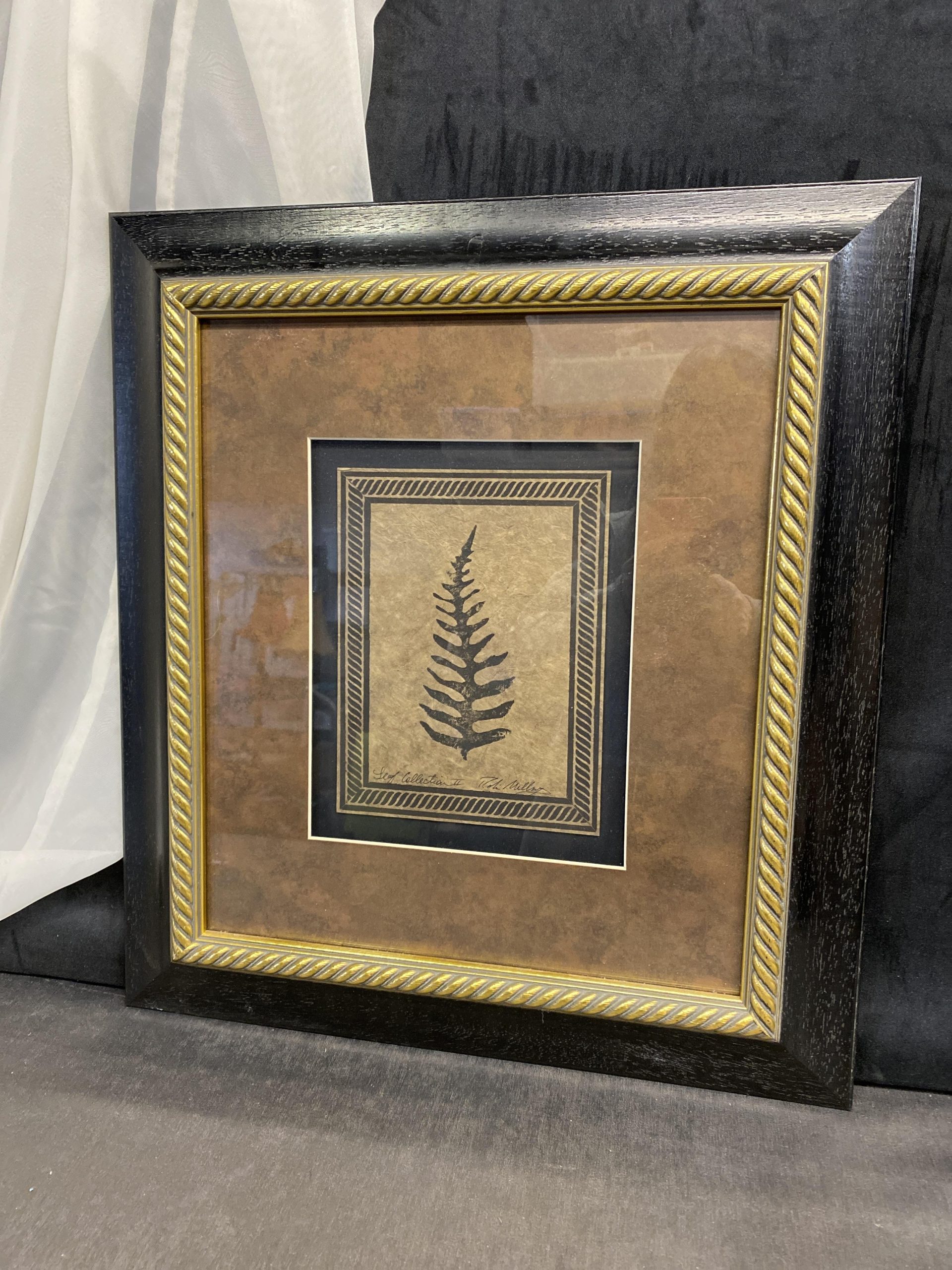 Framed Print – Leaf Collection II