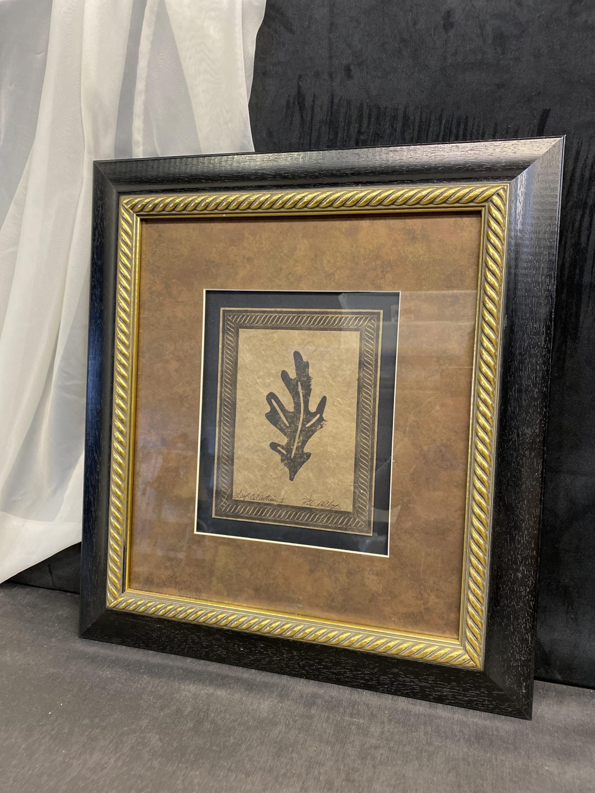 Framed Print – Leaf Collection 1