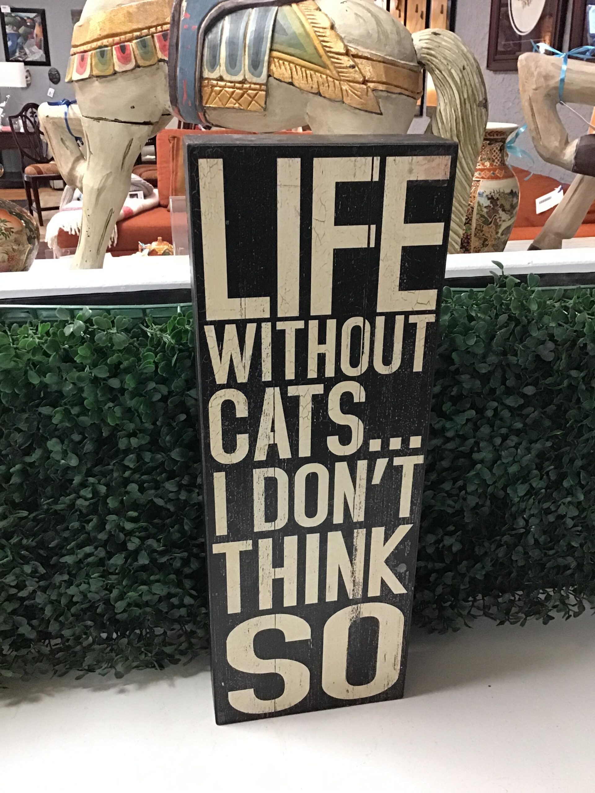 LIFE WITHOUT CATS…I DON’T THINK SO