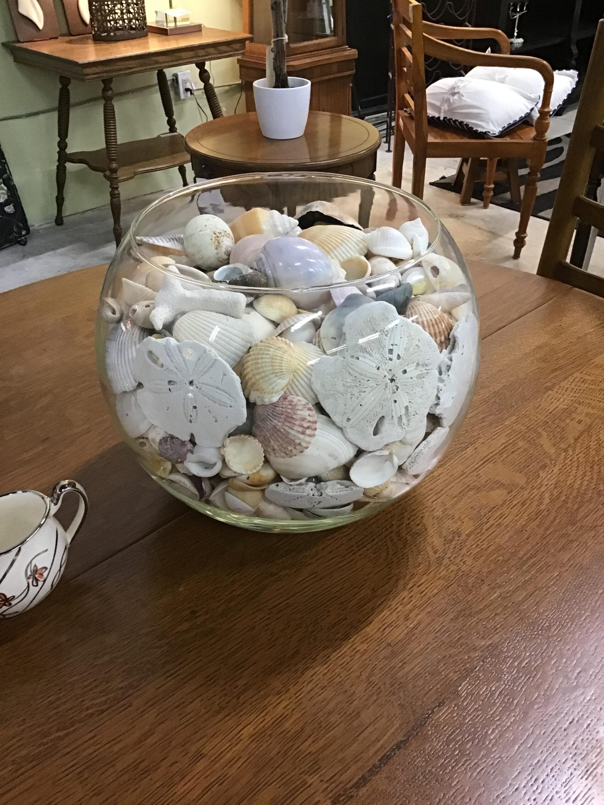 Glass Bowl with Seashells