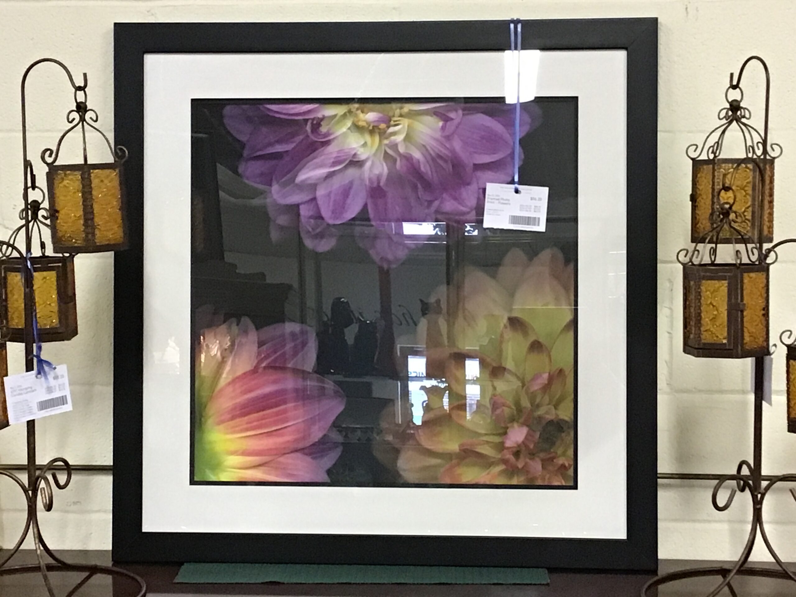 Framed Photo Print – Flowers