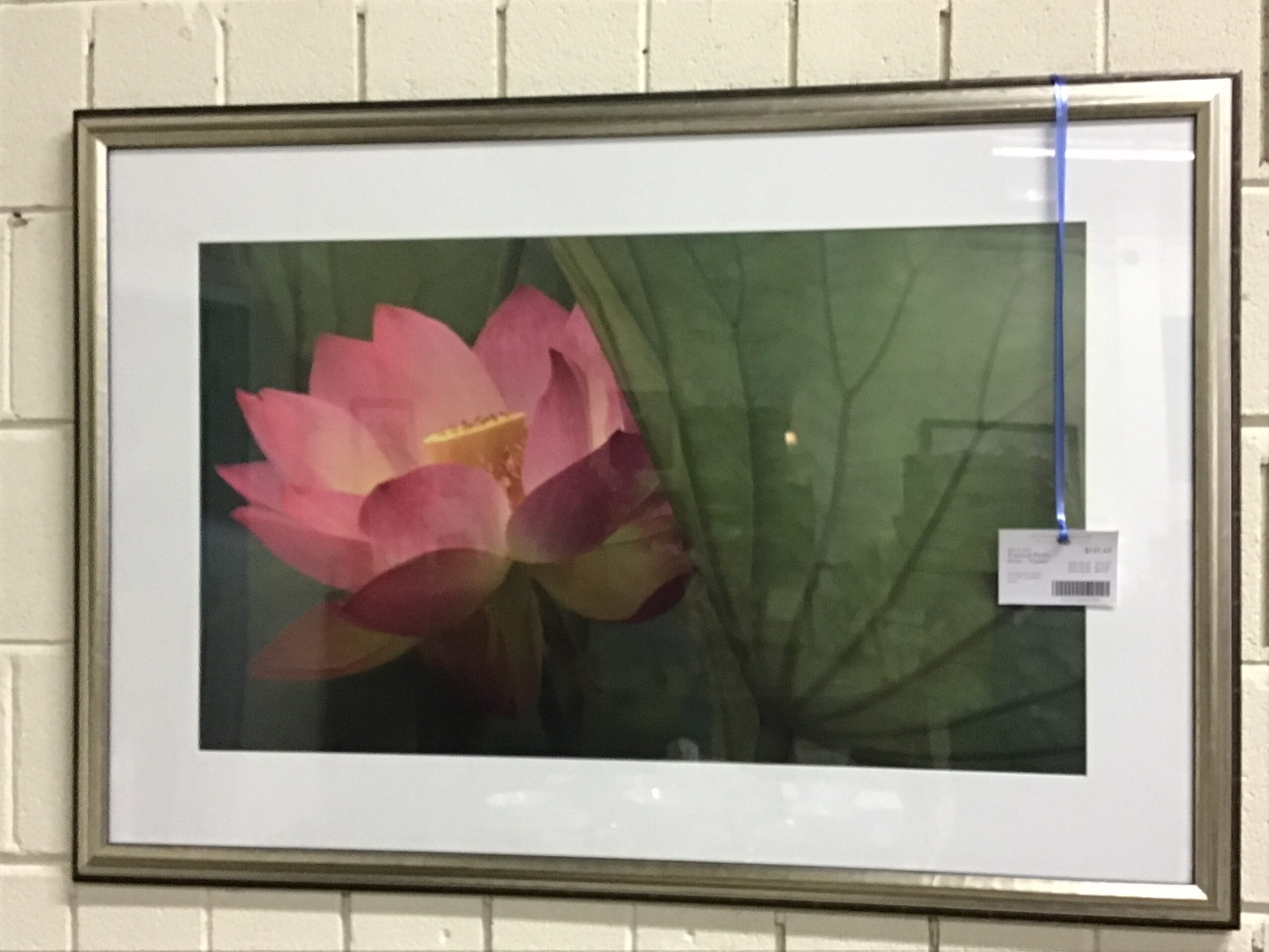 Framed Photo Print – Flower