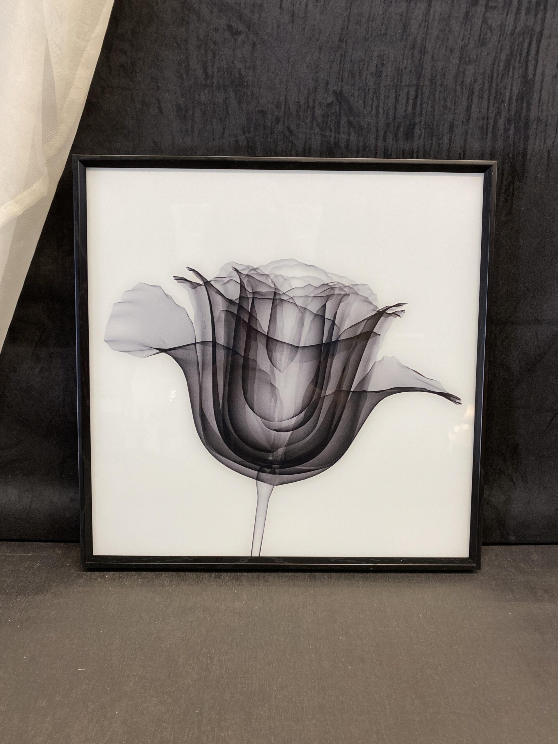 Marmont Hill Framed Print – B&W Tulip