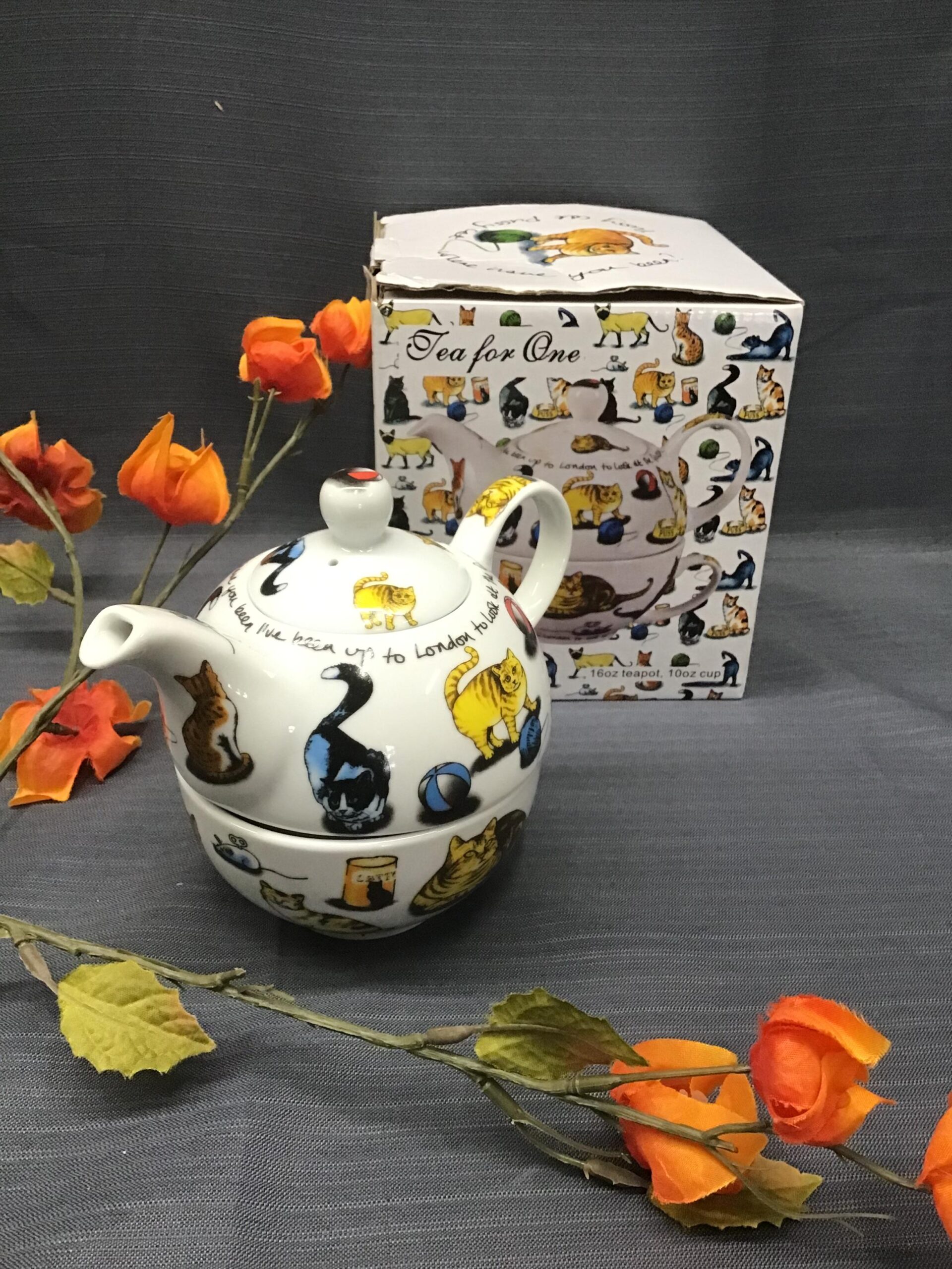 Cat Tea Pot/ Cup for One (box in back)