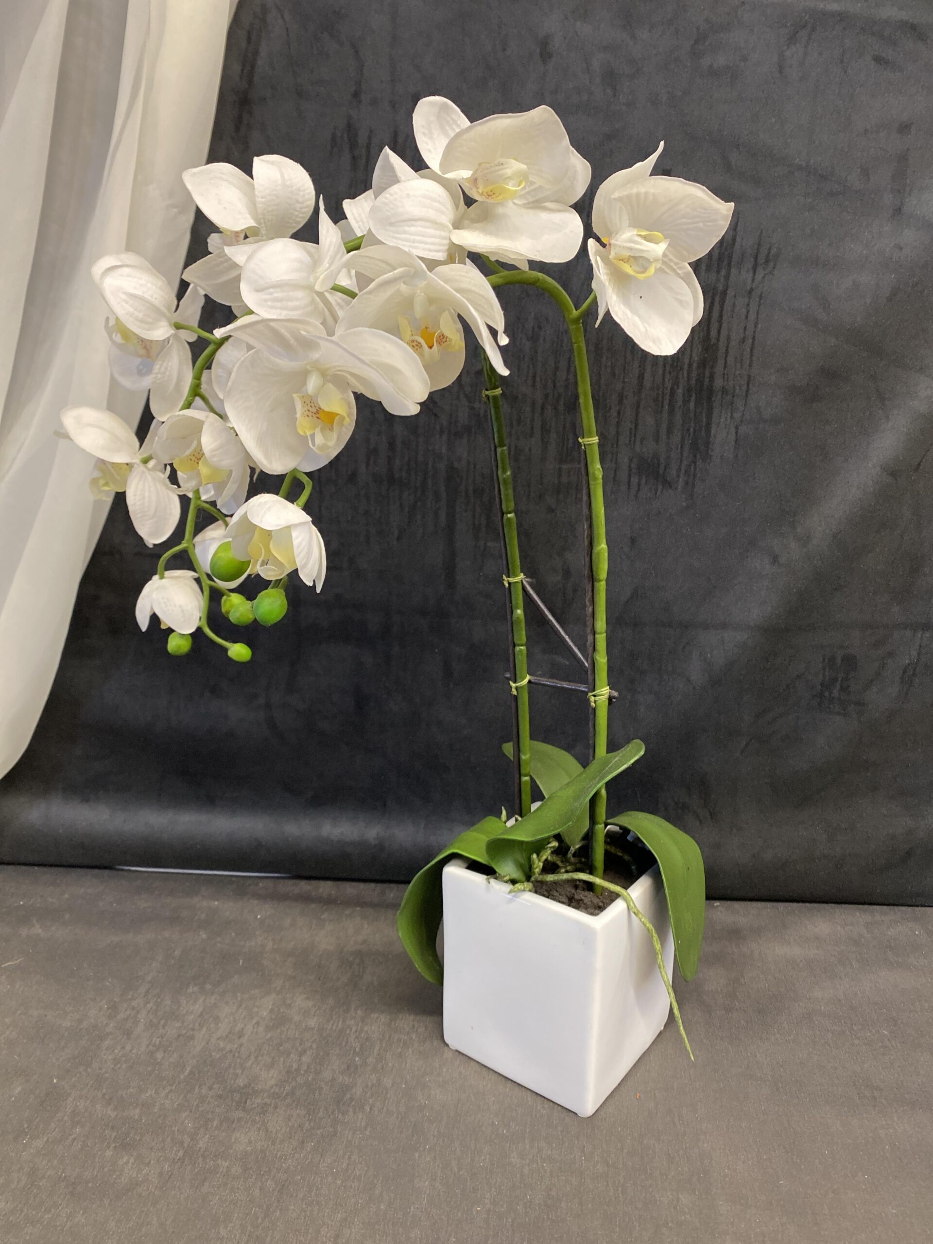 Faux Orchid -White