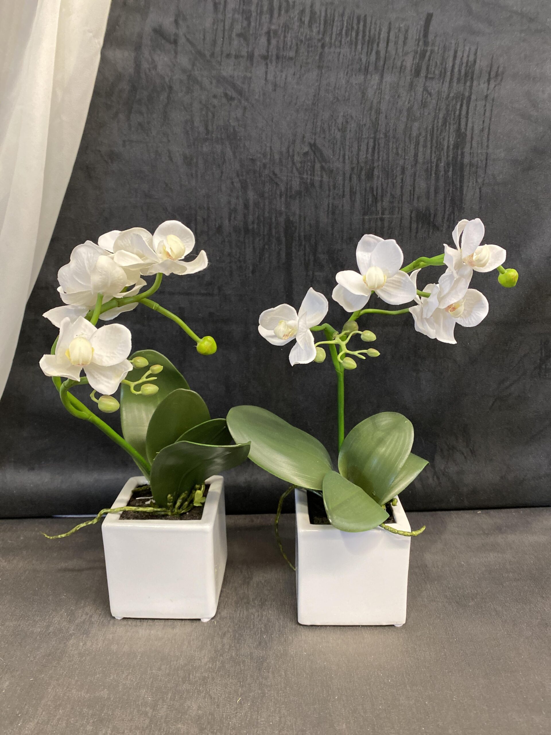 PAIR Faux Orchid – White