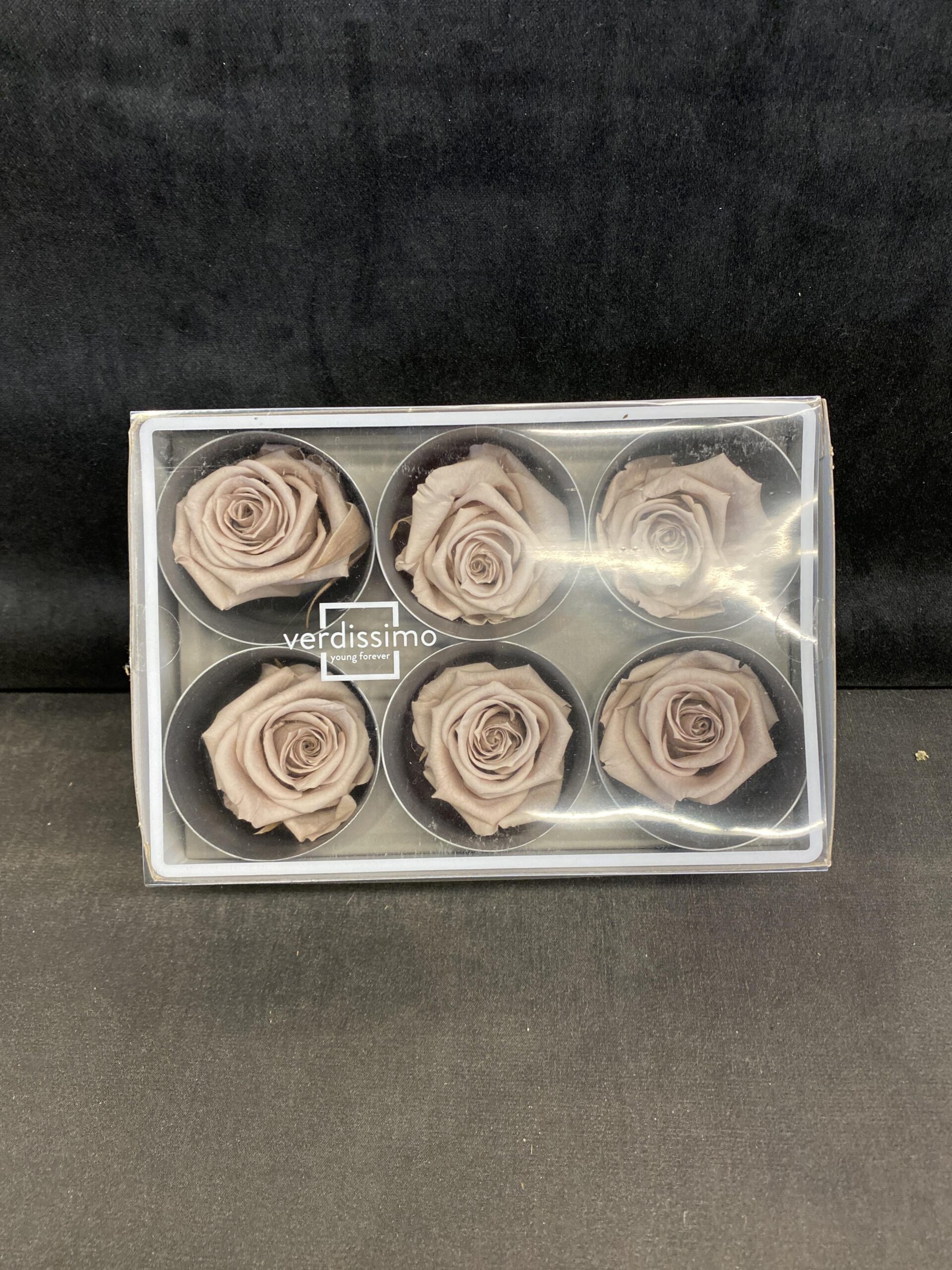 Box of 6 Verdissimo Preserved Flowers – Rose