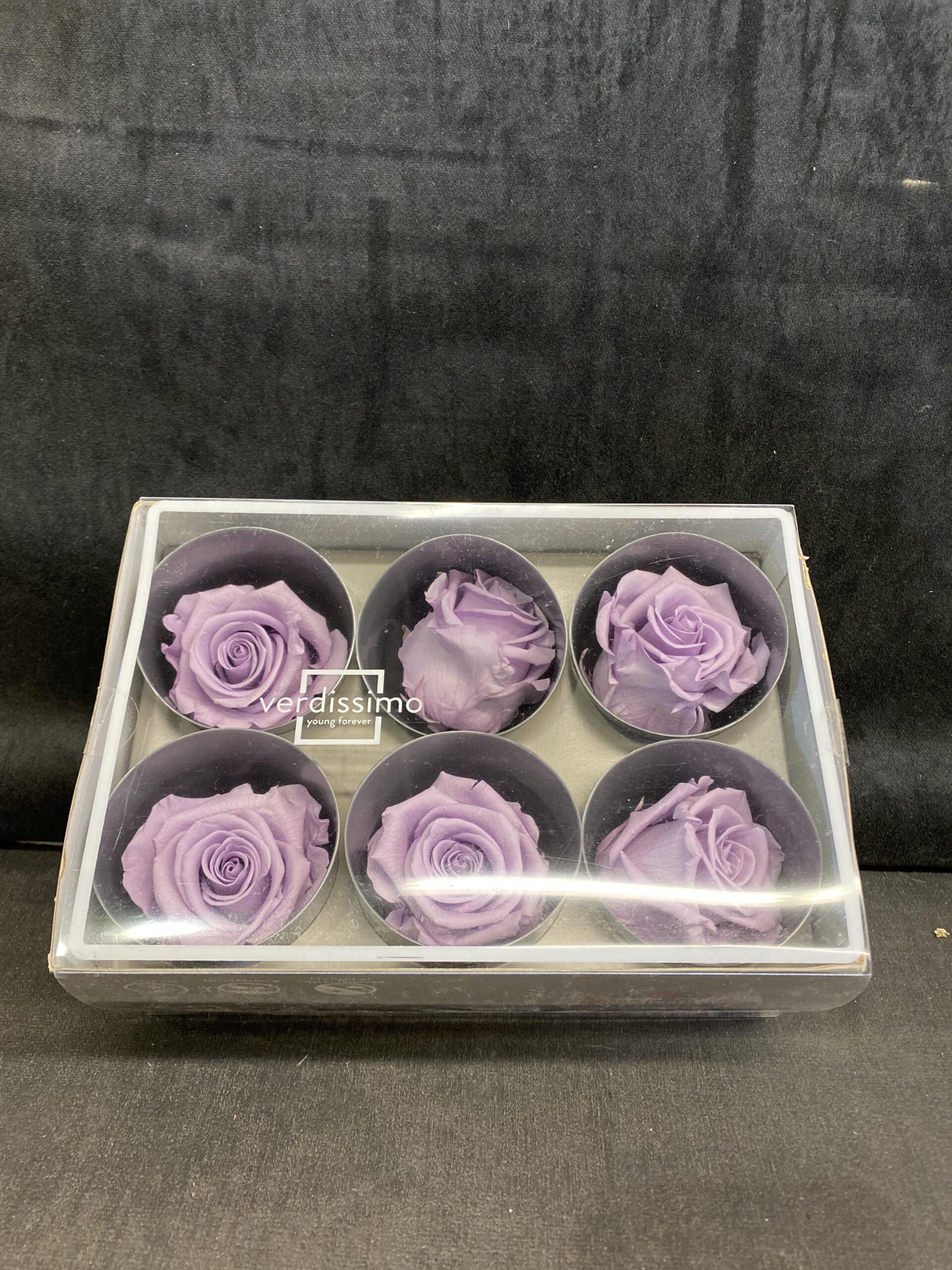 Box of 6 Verdissimo Preserved Flowers – Rose