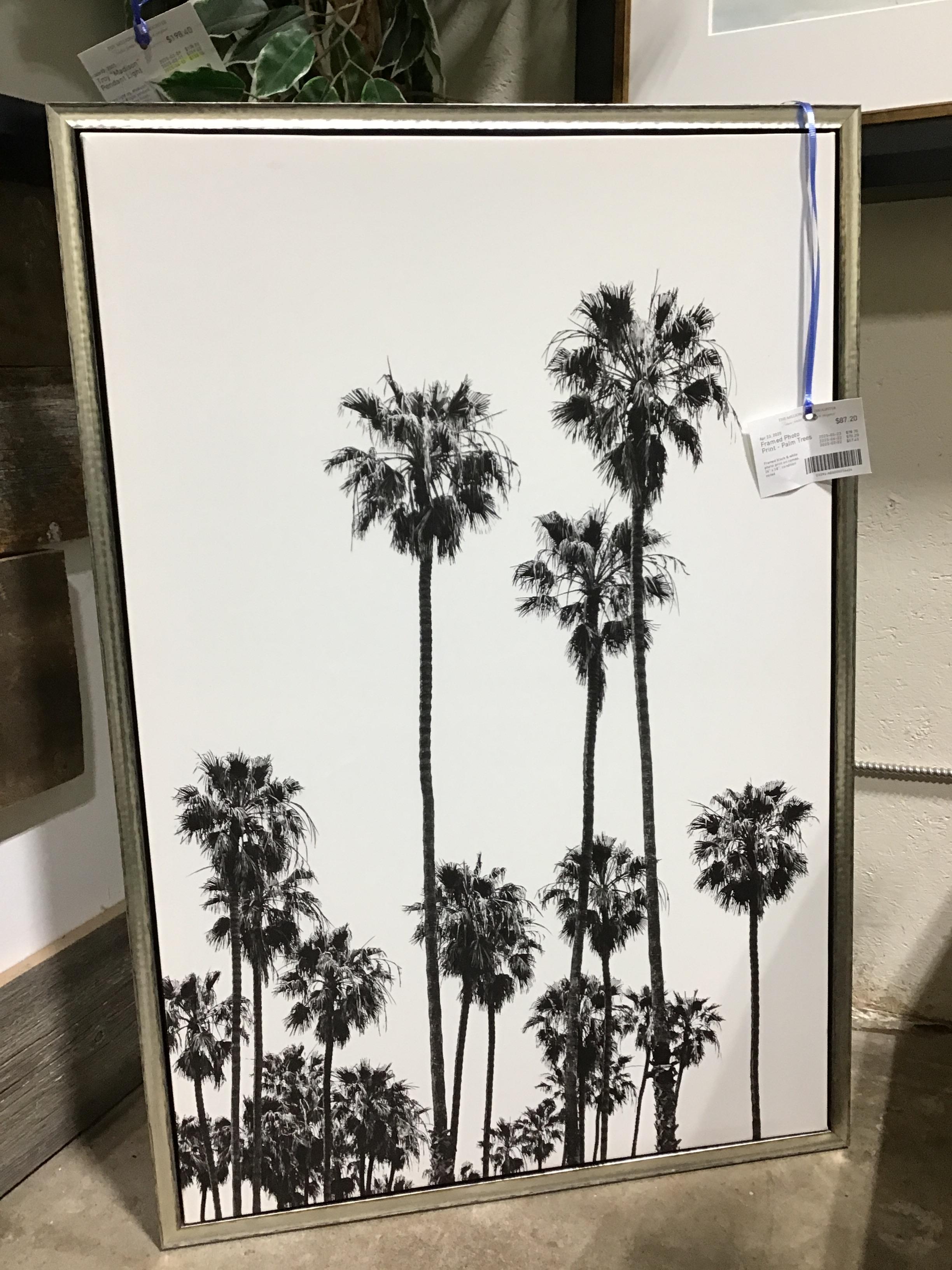 Framed Photo Print – Palm Trees