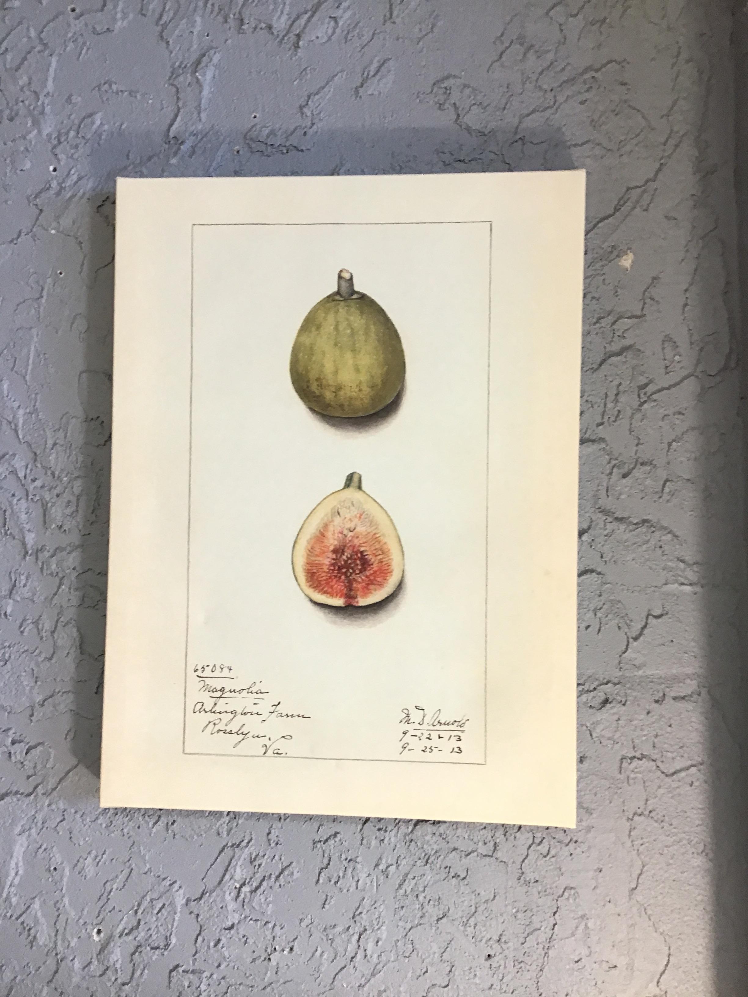 Canvas Art