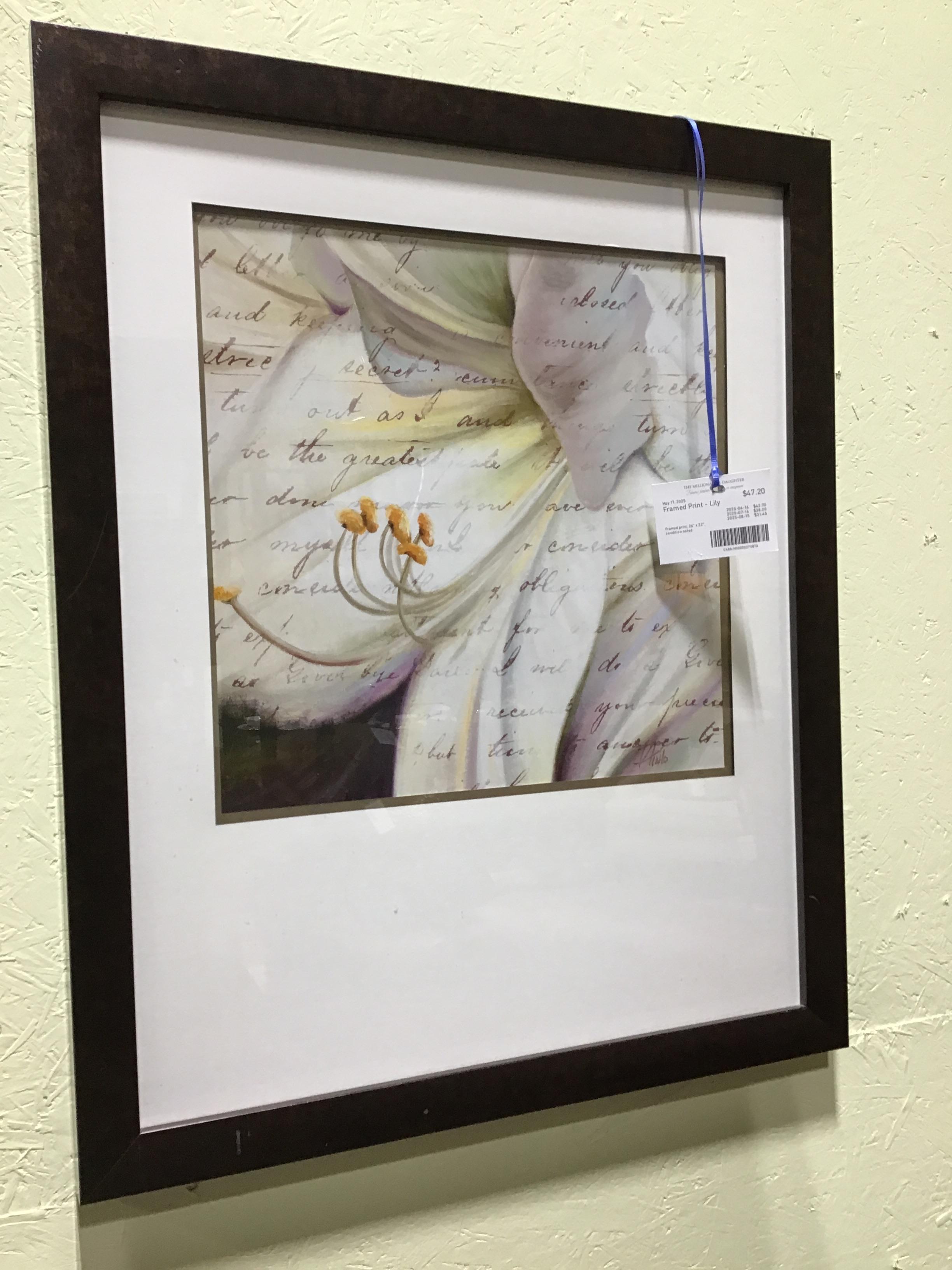 Framed Print – Lily