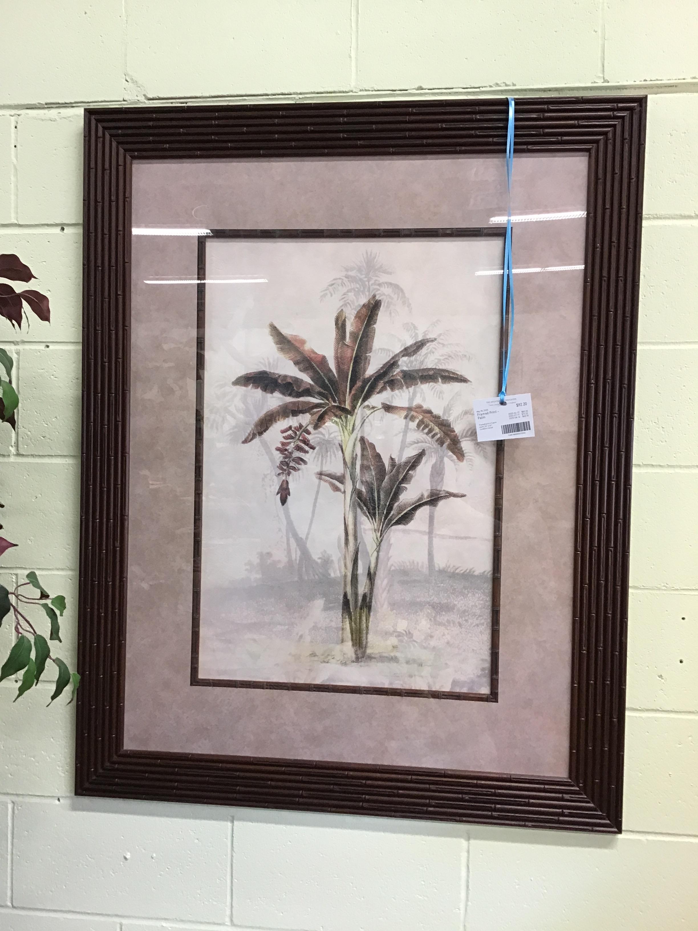 Framed Print – Palm