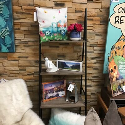 Modern Ladder Bookshelf