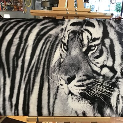 Modern Canvas Art- Tiger