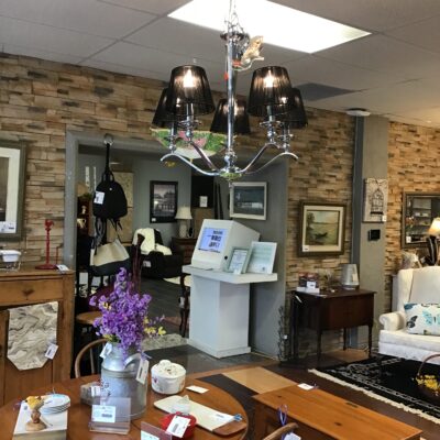 Canarm Modern Hanging Light