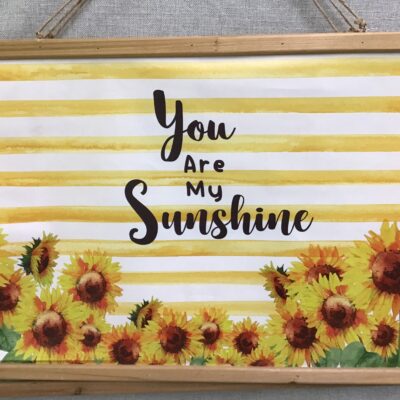 Canvas Wall Hangings (New)