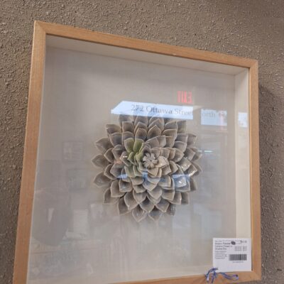 Modern Framed Ceramic Flower in Shadow Box