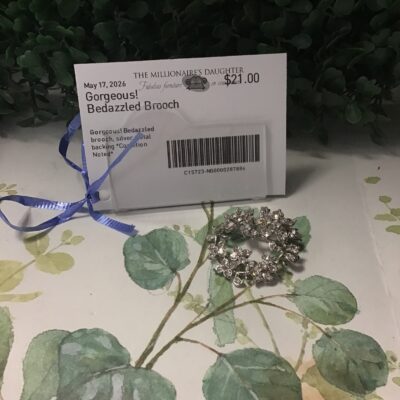 Gorgeous! Bedazzled Brooch