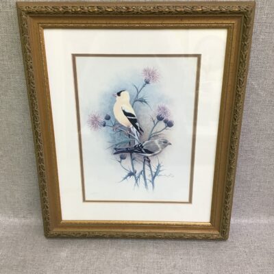 Terry Blackwell- ‘American Goldfinches’