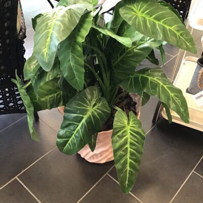 Faux Plant w Ceramic Pot