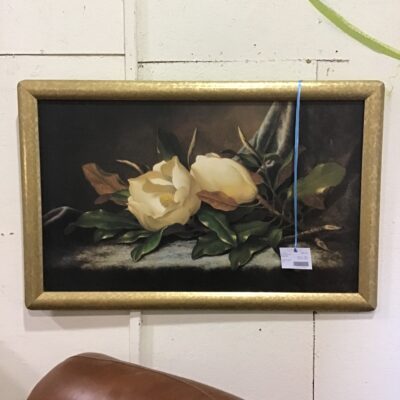 Framed Print – Magnolia