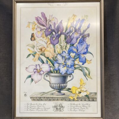 Framed Botanical Print – Iris