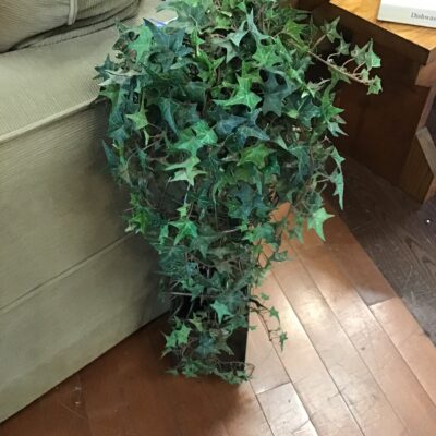 Decorative Topiary Tree