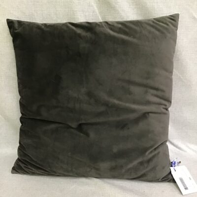 Large Velvet Accent Pillow