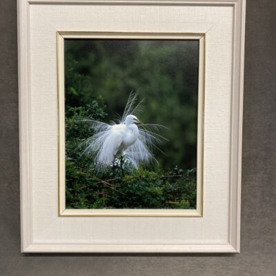 Framed Photo Print – Dancing Feathers
