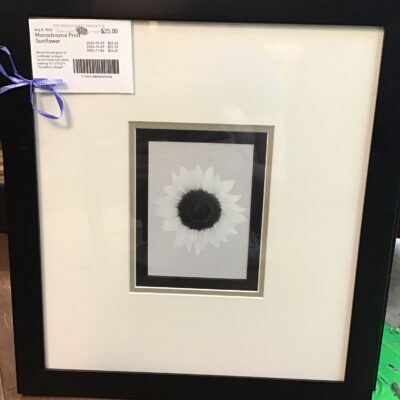 Monochrome Print Sunflower