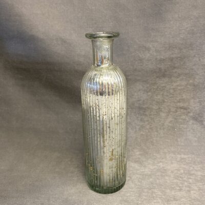 Mercury Glass Bottle / Vase