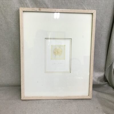 Pier 1 Imports Framed Sarah Feather Art