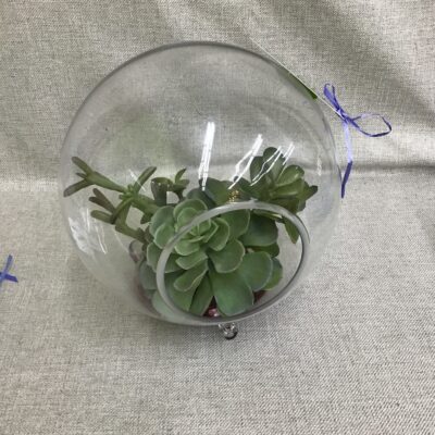 Decorative Round Glass Terrarium