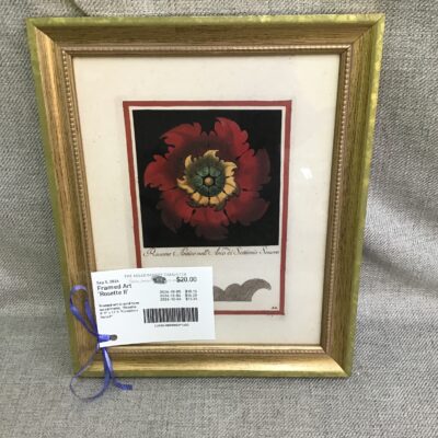 Framed Art ‘Rosette II’