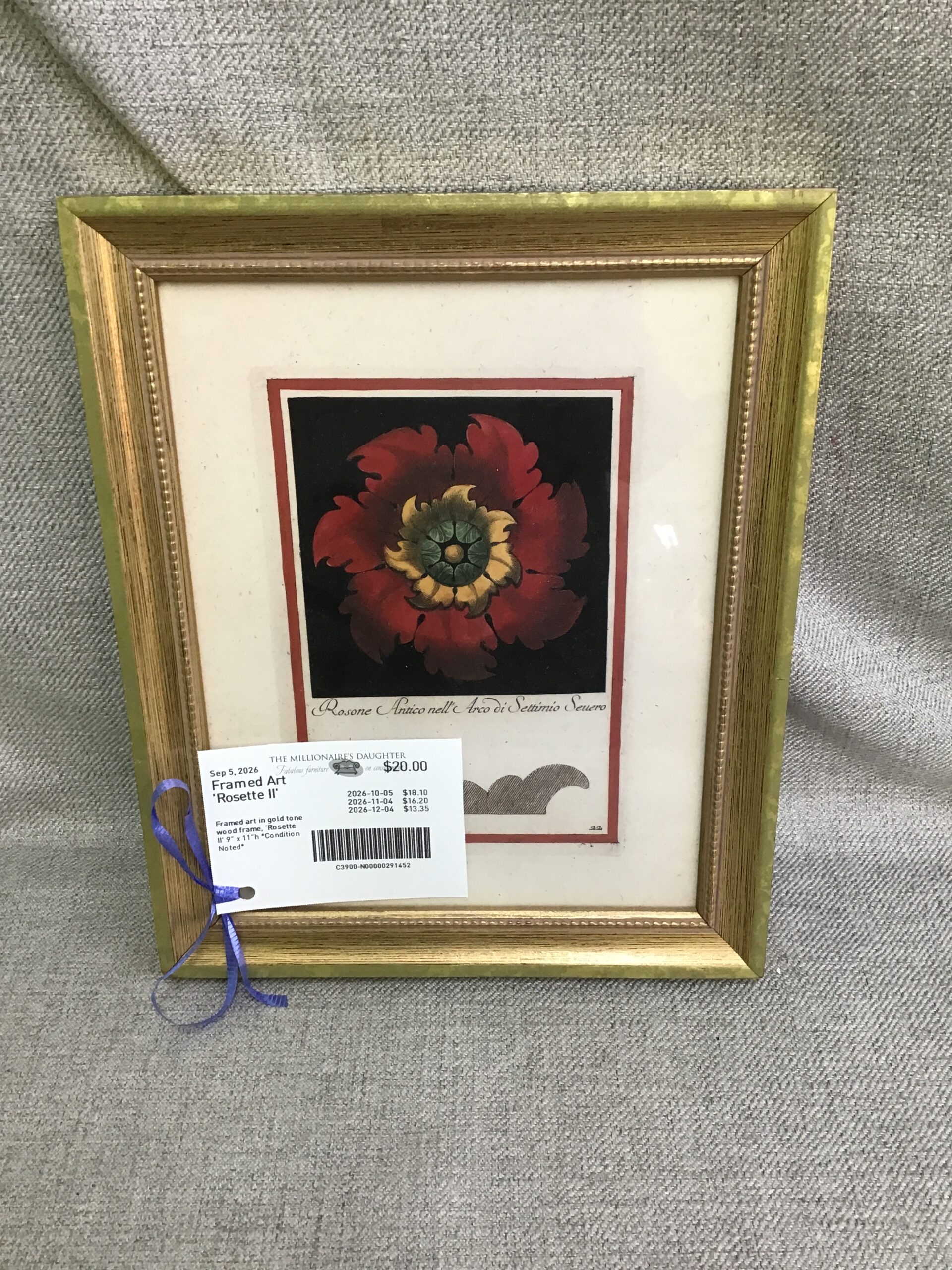 Framed Art ‘Rosette II’