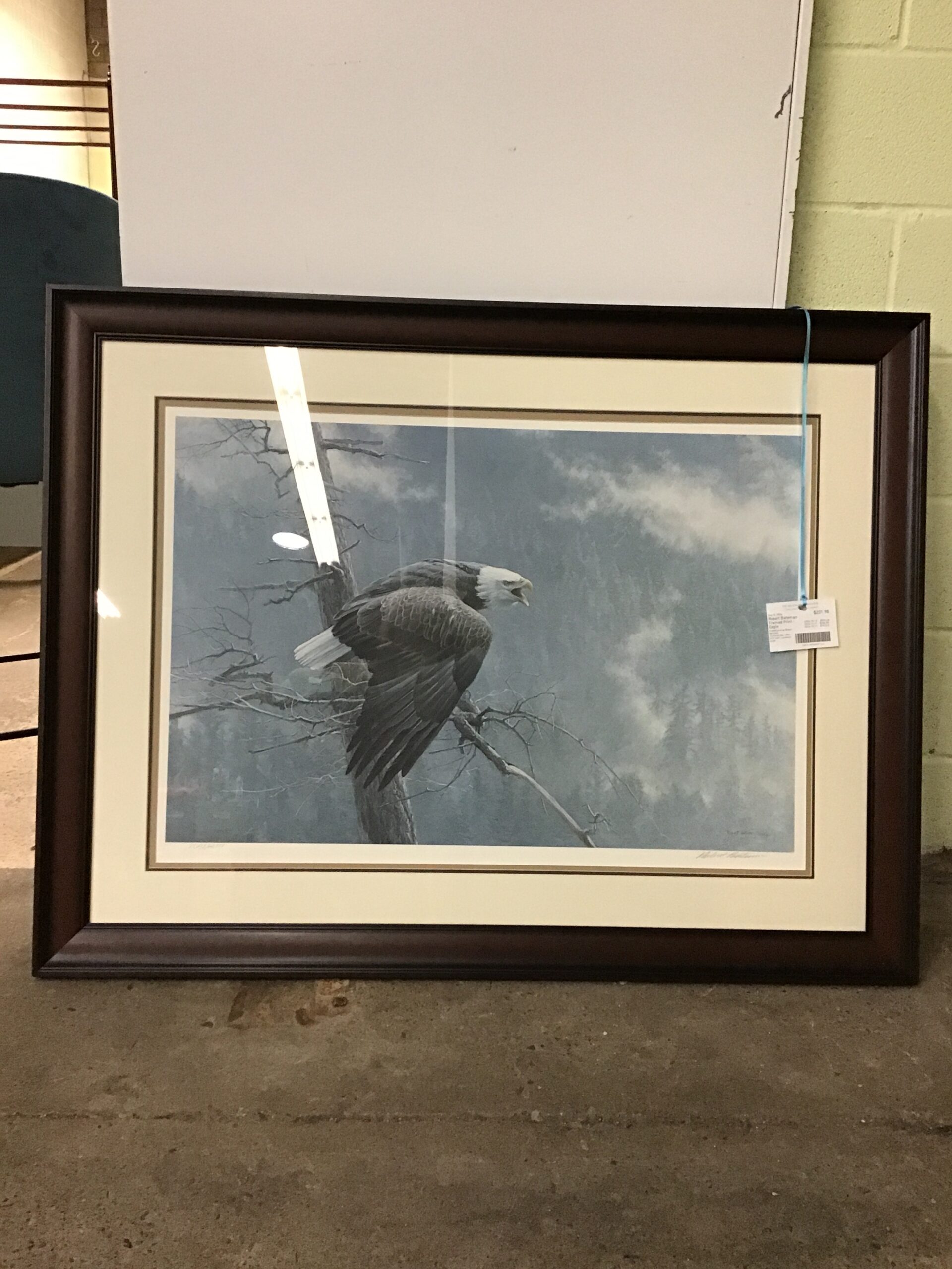Robert Bateman Framed Print – Eagle