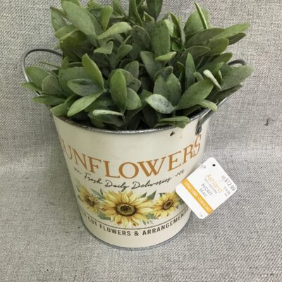 Sunflower Metal Bucket With Greenery
