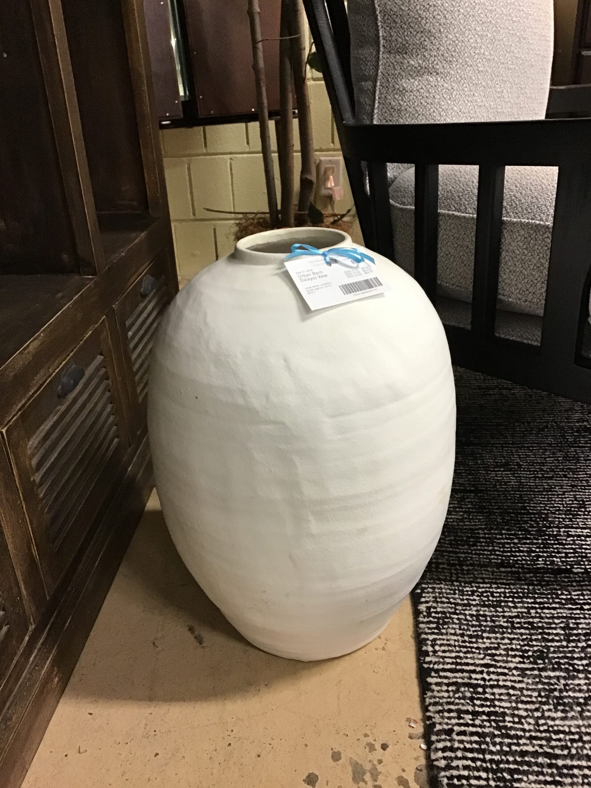 Urban Barn Daleyza Vase