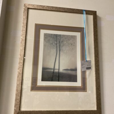 Framed Print – Vista I
