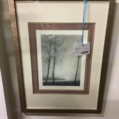 Framed Print – Vista II