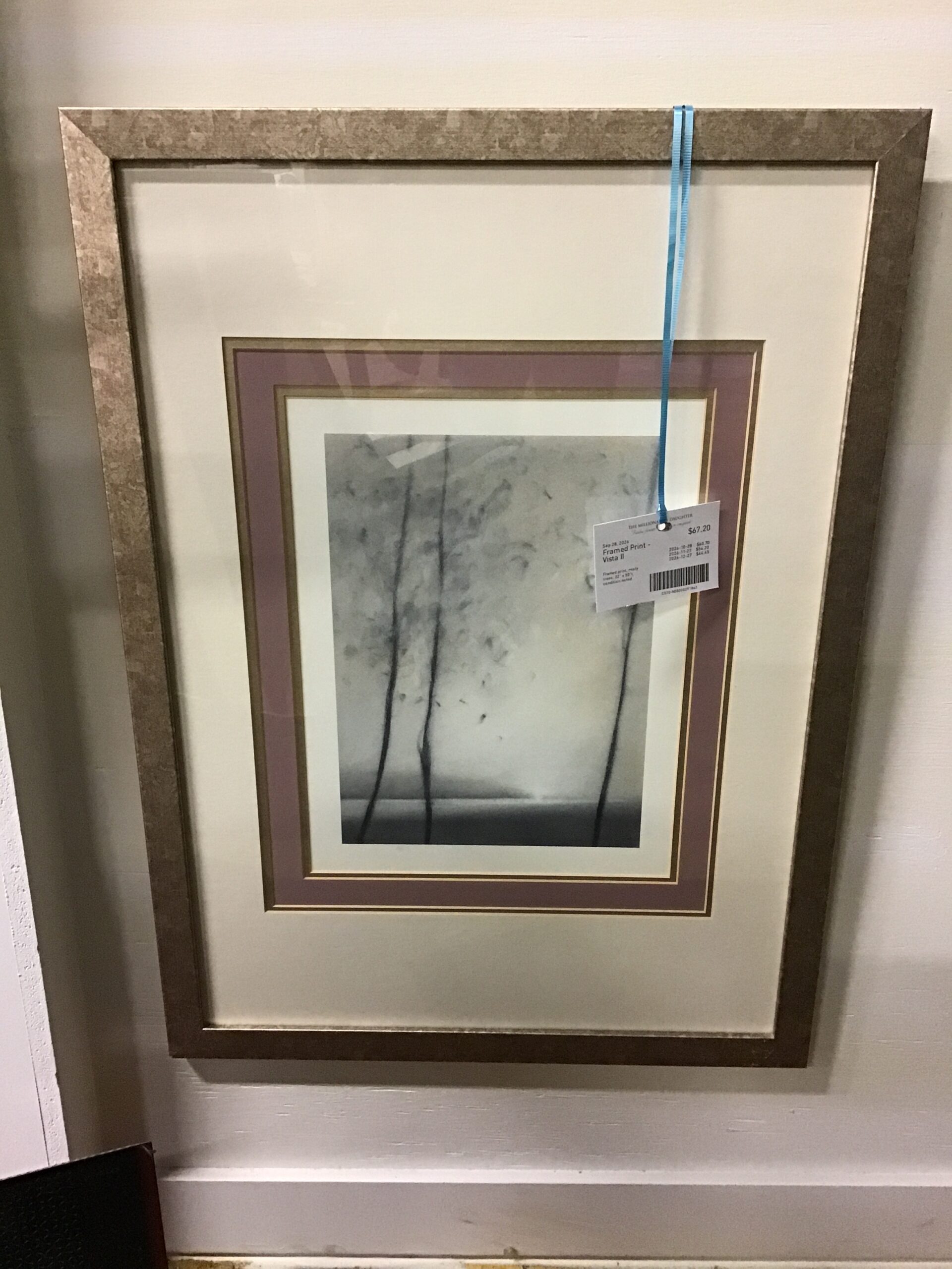 Framed Print – Vista II