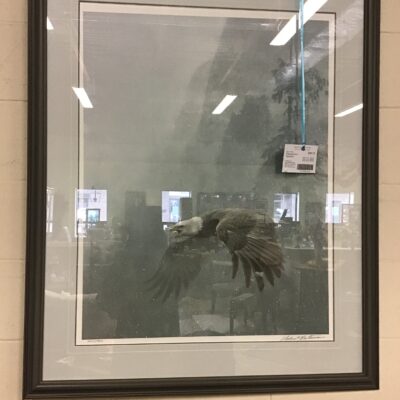 Framed Print – Vigilence
